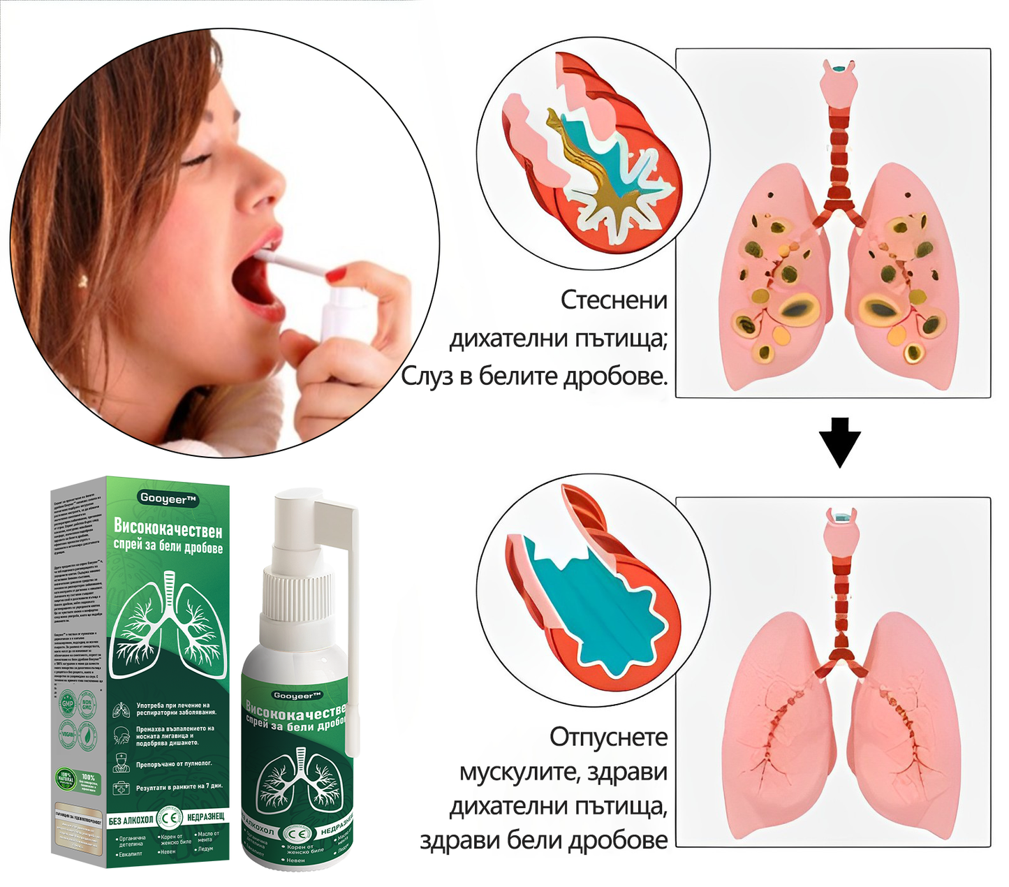 🍀🍀𝐆𝐨𝐨𝐲𝐞𝐞𝐫™ Висококачествен спрей за бели дробове -🧑⚕️ Подпомага здравето на белите дробове, бронхите и синусите, подкрепя дихателната система и улеснява по-лекото дишане.