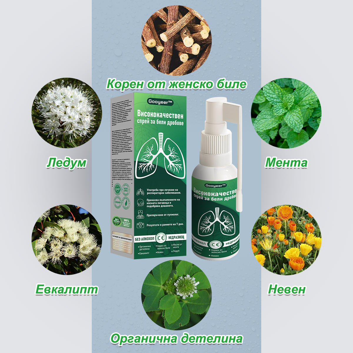 🍀🍀𝐆𝐨𝐨𝐲𝐞𝐞𝐫™ Висококачествен спрей за бели дробове -🧑⚕️ Подпомага здравето на белите дробове, бронхите и синусите, подкрепя дихателната система и улеснява по-лекото дишане.